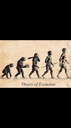 the biggest misconception of theory of evolution.