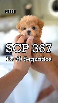 SCP 367 in Summary - "A Puppy"