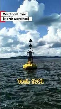 Cardinal buoy is a navigational buoy, #youtubeshorts #viral #maritime #cardinals #buoy