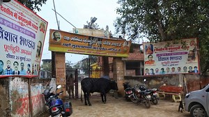 Left and liberals have crafted a delusory narrative of inevitable Muslim genocide in India