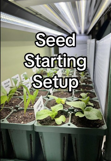 Planting Cool-Season Veggies for Early Spring Gardening