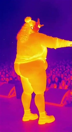 Thermal camera catches something wild during the concert #concert #thermal #viral