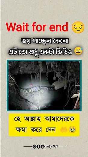 ভয় পাচ্ছেন কেনো❔ আমাদের তো ভয় নেই 🥴 #shorts