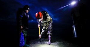 Razor clams are back on the menu: WA announces 11 days of clam digs