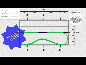 WDAA 2022 WESTERN DRESSAGE INTRODUCTORY LEVEL TEST 4