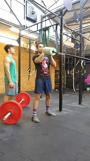 Nico Scheuer on TikTok