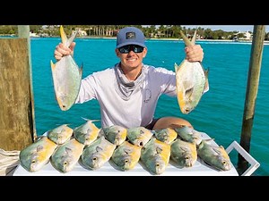Florida's Most EXPENSIVE Fish...Here's Why! Catch Clean Cook (Florida Pompano)