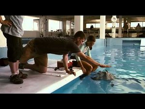 Winter: El delfin | Trailer subtitulado