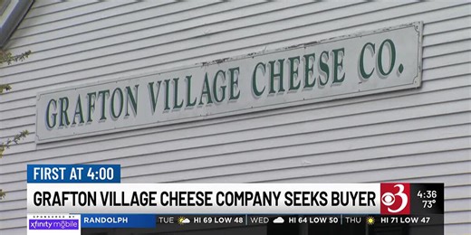Grafton Village Cheese Company seeks buyer or partner