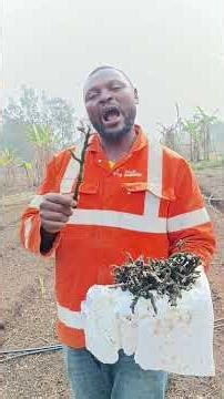 The most beautiful gift of my life