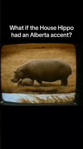 What if the House Hippo had an Alberta accent? #alberta #nostalgia #90s #canada