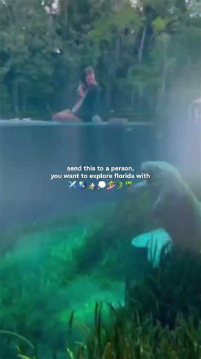 The Ultimate Florida Bucket List: Send to Your Travel Buddy! 🌴