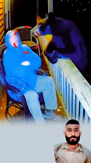 نجا بفضل الله وحده، فالحفظ الإلهي أقوى من كل قوة #youtubeshorts