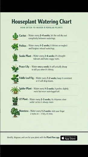 Houseplant Watering Chart: How Often to Water 8 Popular Plants 💧🪴