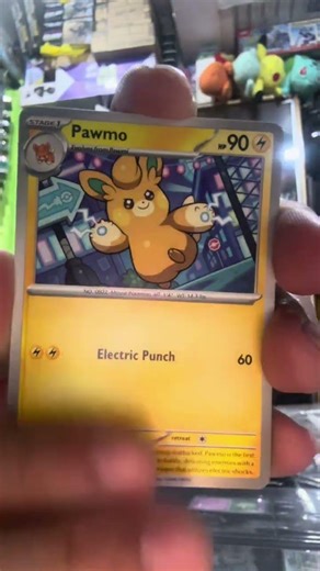 Diva’s Real Cards, Toys & Travel - Phantasmal Flames 1/9/26 #TCG #Pokemon #Cards #DivasRealm