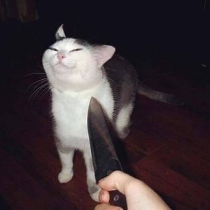 Kooma__ - Twitch