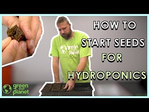 How to Start Your Seeds in a Hydroponics System