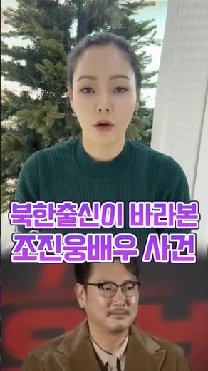 A one-minute summary of the Cho Jin-woong case from a North Korean perspective.