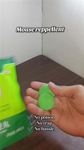 Effective Mouse Repellent Solutions