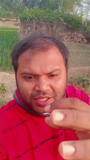 bodle geche moner Pori base