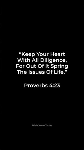 Proverbs 4:23 - Protect Your Heart ❤️‍🩹
