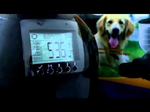 How to program your AF-200 Qpets Automatic Pet Feeder