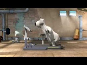 Backkom The Polar Bear - Running Machine