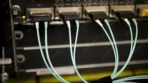 Close-up of network cables connected to a server in a data center