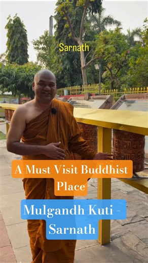 Mulgandh Kuti Vihar Sarnath🛕 || Bhikkhu Shripad 🙏🏻