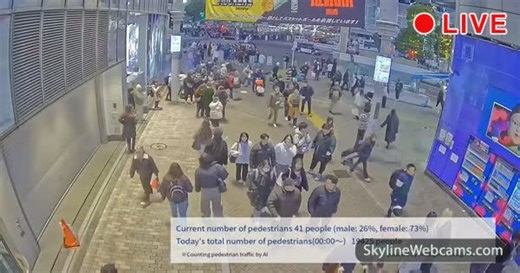 【LIVE】 Kamera na żywo Ulice Shibuya - Tokio | SkylineWebcams