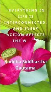 The Essential Philosophy of Buddha | Karma,#Shorts,#Life,#Gratitude.