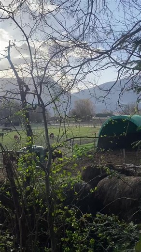 Vidéos de Le poème (@le_poeme) avec original sound - Lucca