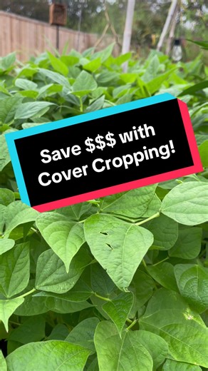 The Simple Method to Boost Your Garden Soil