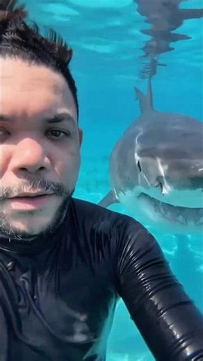 Animals VS Humans - Crazy moments