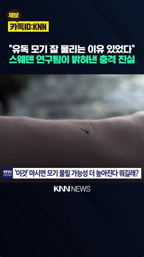 Why Does It Feel Like I’m the Only One Getting Bitten? Could 'This Drink' Be Attracting Mosquitoe...