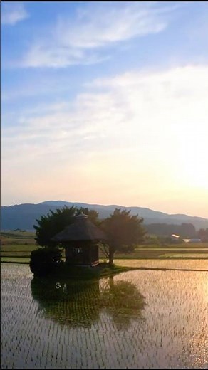 岩手県遠野市 荒神神社｜田園に浮かぶ神秘的な神社のライブカメラ