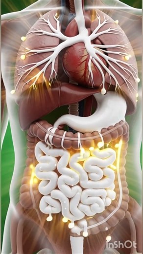 milk benefits daily drink the milk #movie #science #3danimation #shorts