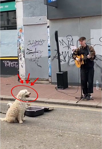 Surprising Street Performance by Singer Ren