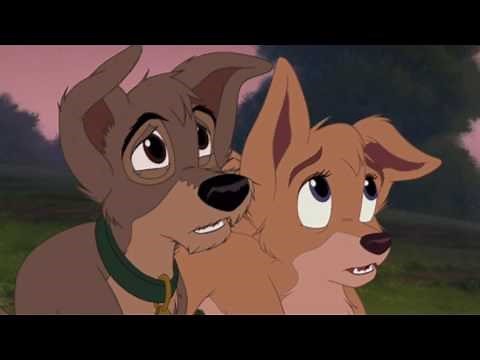 Scamp and Angel has a Sad Song