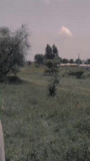 አለኹም'ዶ #tigray #tegaru #sinework