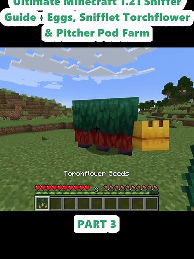 Ultimate Minecraft 1.21 Sniffer Guide for Farming