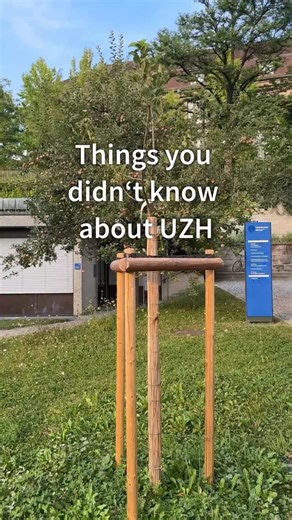 Ever heard of space apples? 🍎🚀 These young apple trees travelled 260 kilometres above the Earth 👀 #uzh #universityofzurich #spaceeconomy #uzhspacehub | Universität Zürich