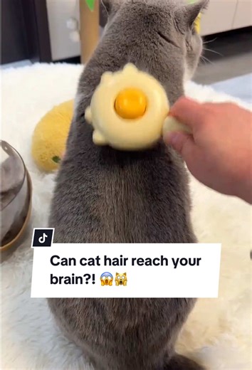 Pamper Your Cat with the Soft Stroke Brush!