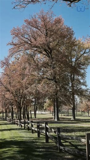 Explore Delaware RV Road Trip｜ Waggle #mywaggle #waggle #petparents #rv #rvliving #rvlife #rvtravel #Lifestyle #funny | Mccoy Rubiok