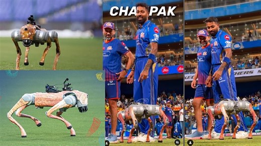 IPL 2025: क्रिकेट मैदान पर क्या करता है यह रोबोट डॉग, नाम है चंपक, पांड्या ने किया स्वागत