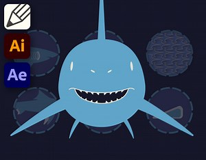 Characteristics of cartilaginous fish - Julian Zielonka