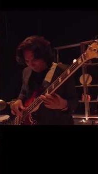 Música x DIEGO AMADOR #bass #bajo #diegoamador #romanticsong