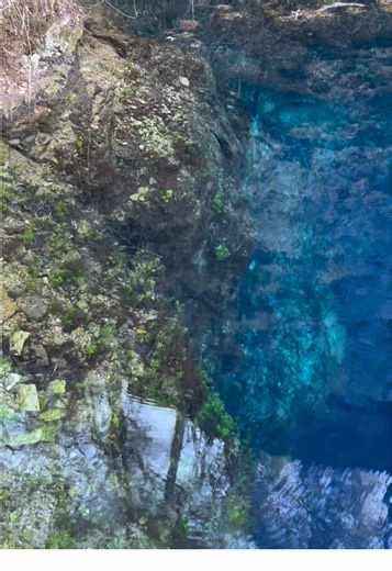 💙 The bluest water you’ll ever see — and it’s completely natural Blue Spring is pure Missouri magic 💦🌲 One of those places that feels unreal in person #BlueSpring #MissouriNature #SpringWater #OzarkScenery #HiddenGems