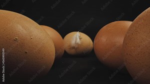 Several fresh brown free-range eggs and feather on one egg. The camera passes in between. Dolly shot with macro probe lens. Slider movement.