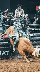 The best of the best PBR Origin rides 🔥 Who will lead their team to victory in 2025? #pbr #pbraustralia #pbrorigin | PBR Australia
